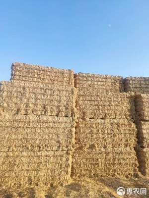 一級小麥秸稈在牲畜飼養中的高效利用策略